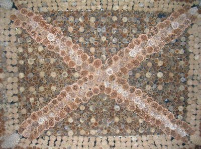 St Andrew's cross in pine cones.